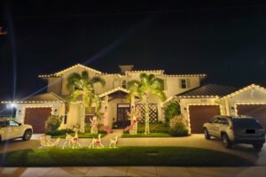 Griswold Christmas Lights Image 12